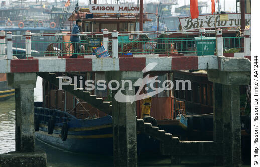 Pont dans le port d'Along. - © Philip Plisson / Plisson La Trinité / AA12444 - Nos reportages photos - Jonque