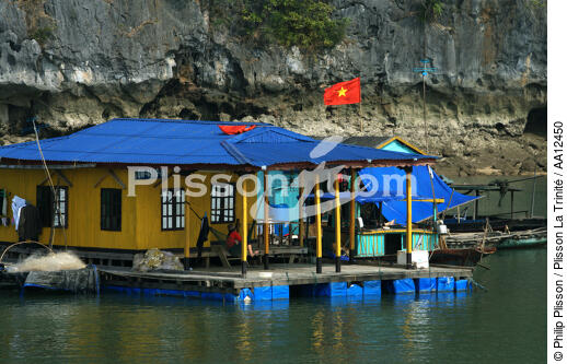 Habitation dans la baie d'Along. - © Philip Plisson / Plisson La Trinité / AA12450 - Nos reportages photos - La Baie d'Along, Vietnam