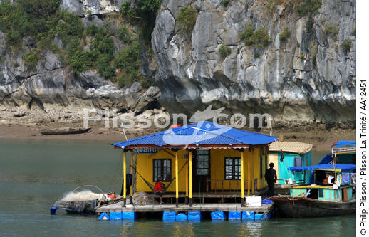 Habitation dans la baie d'Along. - © Philip Plisson / Plisson La Trinité / AA12451 - Nos reportages photos - Vietnam