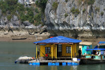 Habitation dans la baie d'Along. © Philip Plisson / Plisson La Trinité / AA12451 - Nos reportages photos - Vietnam