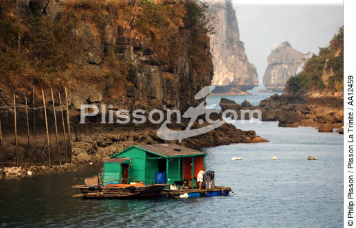 Habitation dans la baie d'Along. - © Philip Plisson / Plisson La Trinité / AA12459 - Nos reportages photos - Site [Vietnam]
