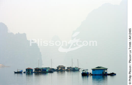 Un village dans la brume de la baie d'Along. - © Philip Plisson / Plisson La Trinité / AA12465 - Nos reportages photos - Vietnam