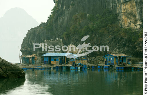 Dwellings on the edge of a cliff in Along Bay. - © Philip Plisson / Plisson La Trinité / AA12467 - Photo Galleries - Cabin