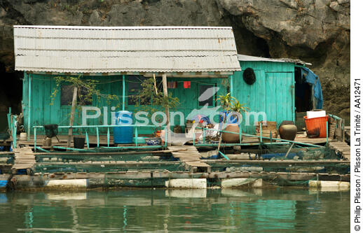 A dwelling in a village of Along Bay. - © Philip Plisson / Plisson La Trinité / AA12471 - Photo Galleries - Floating house