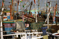 Fishing vessels in the port of Bombay. © Philip Plisson / Plisson La Trinité / AA12509 - Photo Galleries - India
