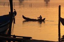 Pirogue à Cochin. © Philip Plisson / Plisson La Trinité / AA12539 - Nos reportages photos - Ville [Kerala]