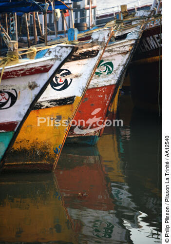 Stems of fishing vessels in Cochin. - © Philip Plisson / Plisson La Trinité / AA12540 - Photo Galleries - Stem