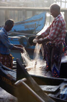 Pêcheurs à Cochin. © Philip Plisson / Plisson La Trinité / AA12550 - Nos reportages photos - Ville [Kerala]