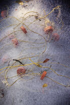 Fishing net. © Philip Plisson / Plisson La Trinité / AA12554 - Photo Galleries - Fishing nets