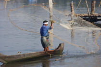 Les Backwaters du Kérala. © Philip Plisson / Plisson La Trinité / AA12566 - Nos reportages photos - Filet de pêche
