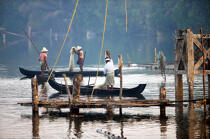 Pêche dans les backwaters.. © Philip Plisson / Plisson La Trinité / AA12584 - Nos reportages photos - Materiel de pêche