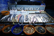 Fish merchant in Cochin. © Philip Plisson / Plisson La Trinité / AA12590 - Photo Galleries - Fish