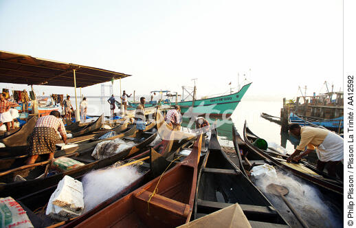 In the port of Cochin. - © Philip Plisson / Plisson La Trinité / AA12592 - Photo Galleries - Cochin