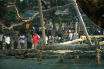 Pêche à Cochin. © Philip Plisson / Plisson La Trinité / AA12604 - Nos reportages photos - Chinese nets