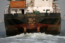 Cargo liner in front of Cochin. © Philip Plisson / Plisson La Trinité / AA12610 - Photo Galleries - State [India]
