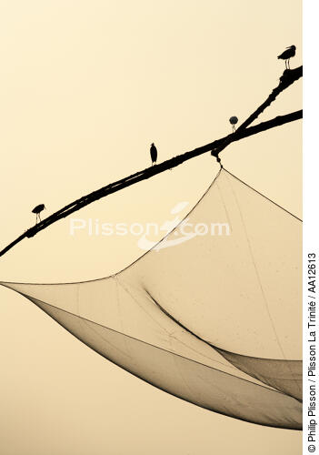 Chinese nets in front of Cochin. - © Philip Plisson / Plisson La Trinité / AA12613 - Photo Galleries - Marshland bird