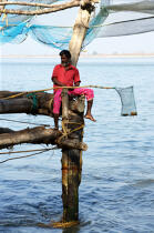 Cochin. © Philip Plisson / Pêcheur d’Images / AA12618 - Nos reportages photos - La petite pêche au Kerala, Inde du sud