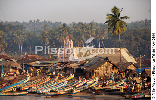 Vilinjan. - © Philip Plisson / Plisson La Trinité / AA12664 - Photo Galleries - Kerala
