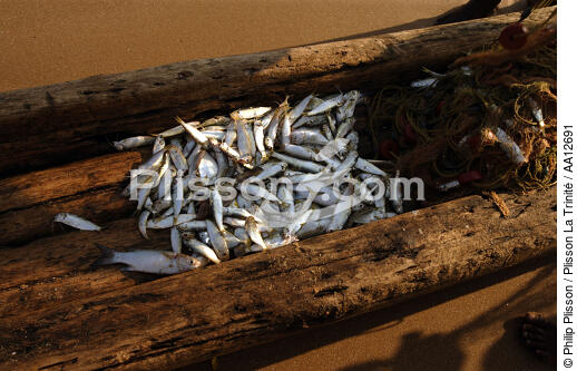 Retour de pêche à Vilinjan. - © Philip Plisson / Plisson La Trinité / AA12691 - Nos reportages photos - Vilinjam