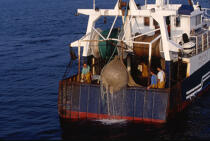 Trawler in fishing. © Philip Plisson / Plisson La Trinité / AA12712 - Photo Galleries - Fishing nets