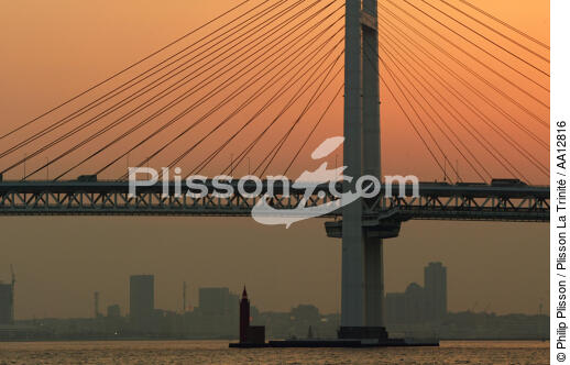 Baie de Tokyo - Pont de Yokohama - © Philip Plisson / Plisson La Trinité / AA12816 - Nos reportages photos - Pont suspendu