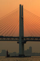 Tokyo bay - Yokoham Bay Bridge © Philip Plisson / Plisson La Trinité / AA12817 - Photo Galleries - Japan