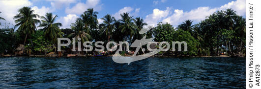 San Blas, Panama. - © Philip Plisson / Plisson La Trinité / AA12873 - Photo Galleries - Palm tree