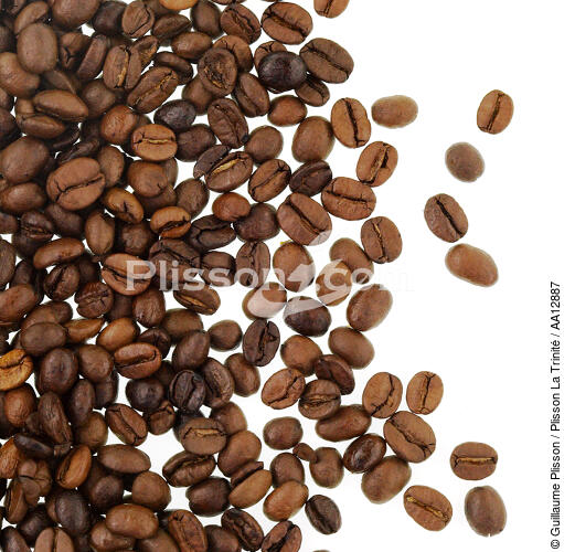 Grains de café. - © Guillaume Plisson / Plisson La Trinité / AA12887 - Nos reportages photos - Aliment