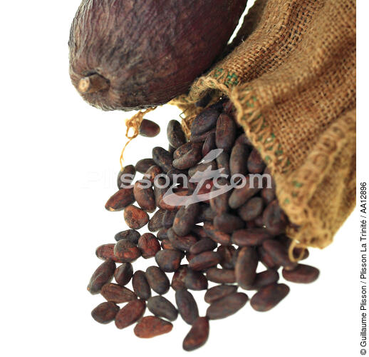 Grains de café. - © Guillaume Plisson / Plisson La Trinité / AA12896 - Nos reportages photos - Aliment