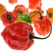 Peppers. © Guillaume Plisson / Pêcheur d’Images / AA12897 - Photo Galleries - Gourmet food