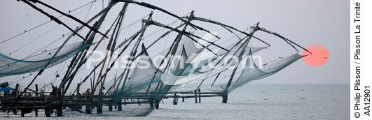 Chinese net. - © Philip Plisson / Plisson La Trinité / AA12901 - Nos reportages photos - La petite pêche au Kerala, Inde du sud
