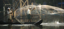 Fish in Backwater. © Philip Plisson / Plisson La Trinité / AA12902 - Photo Galleries - Fishing nets
