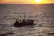 Bateau de pêche dans le Maine. © Philip Plisson / Plisson La Trinité / AA12954 - Nos reportages photos - Coucher de soleil