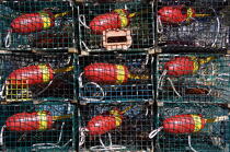 Bouées de casiers. © Philip Plisson / Plisson La Trinité / AA12986 - Nos reportages photos - Materiel de pêche