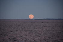 Lune rousse © Philip Plisson / Plisson La Trinité / AA13015 - Nos reportages photos - Nouvelle Angleterre