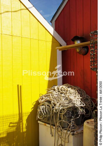 Portland Harbour - © Philip Plisson / Plisson La Trinité / AA13050 - Photo Galleries - Cabin