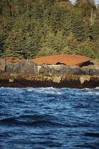 Monhegan island dans le Maine. © Philip Plisson / Plisson La Trinité / AA13140 - Nos reportages photos - Rocher