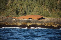 Monhegan island dans le Maine. © Philip Plisson / Plisson La Trinité / AA13141 - Nos reportages photos - Epave