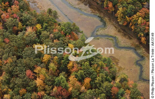 Autumn in Maine. - © Philip Plisson / Plisson La Trinité / AA13149 - Photo Galleries - Tree