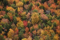 Autumn in Maine. © Philip Plisson / Plisson La Trinité / AA13150 - Photo Galleries - Maine