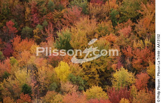 Autumn in Maine. - © Philip Plisson / Plisson La Trinité / AA13152 - Photo Galleries - Flora