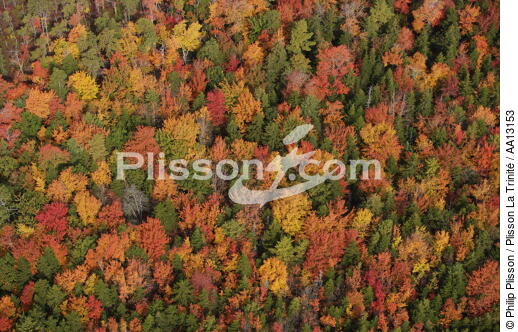 Autumn in Maine. - © Philip Plisson / Plisson La Trinité / AA13153 - Photo Galleries - Interior landscape