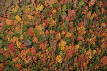 Autumn in Maine. © Philip Plisson / Plisson La Trinité / AA13153 - Photo Galleries - Maine