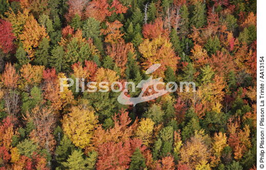 Autumn in Maine. - © Philip Plisson / Plisson La Trinité / AA13154 - Photo Galleries - Flora
