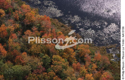 Autumn in Maine. - © Philip Plisson / Plisson La Trinité / AA13156 - Photo Galleries - Forest