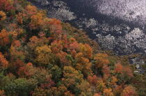 Autumn in Maine. © Philip Plisson / Plisson La Trinité / AA13156 - Photo Galleries - Forest