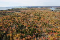 Autumn in Maine. © Philip Plisson / Plisson La Trinité / AA13157 - Photo Galleries - Forest