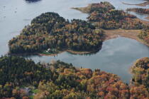 Paysage dans le Maine. © Philip Plisson / Plisson La Trinité / AA13170 - Nos reportages photos - Forêt