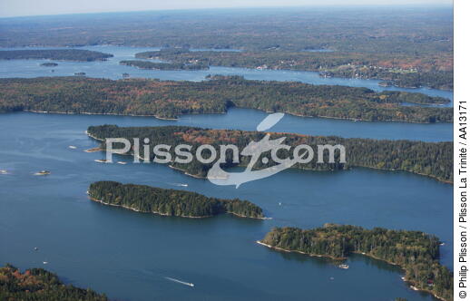 Paysage dans le Maine. - © Philip Plisson / Plisson La Trinité / AA13171 - Nos reportages photos - Arbre