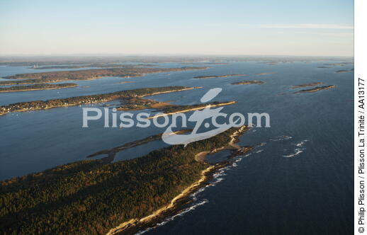 Seascape in Maine. - © Philip Plisson / Plisson La Trinité / AA13177 - Photo Galleries - Forest